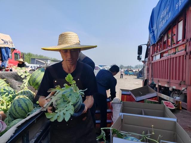 快速辨熟度甜度
